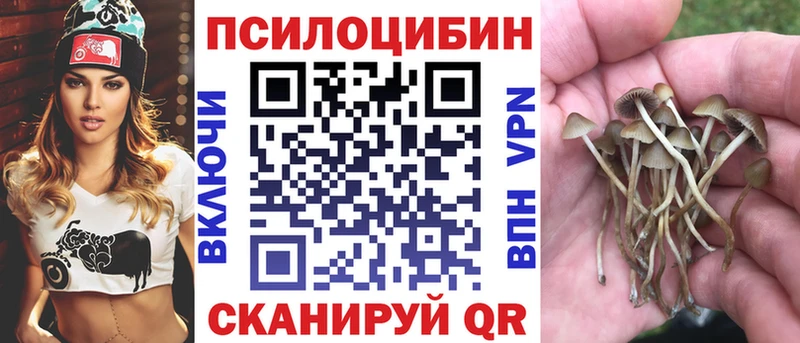 мориарти официальный сайт Норильск Псилоцибиновые грибы мицелий