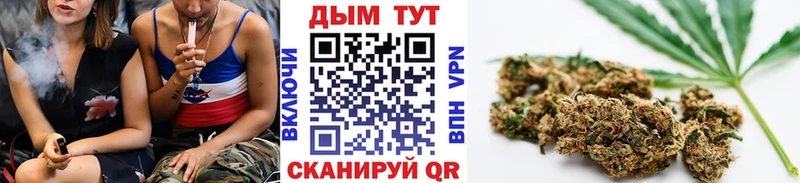 Конопля ГИДРОПОН  дарнет шоп  Норильск 